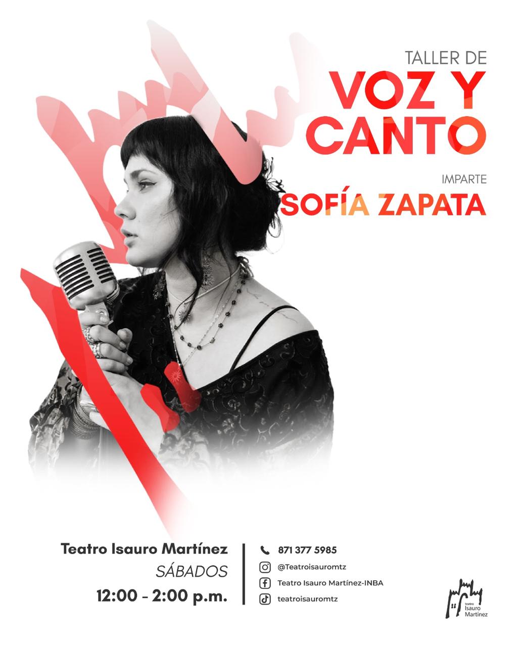 Voz y canto